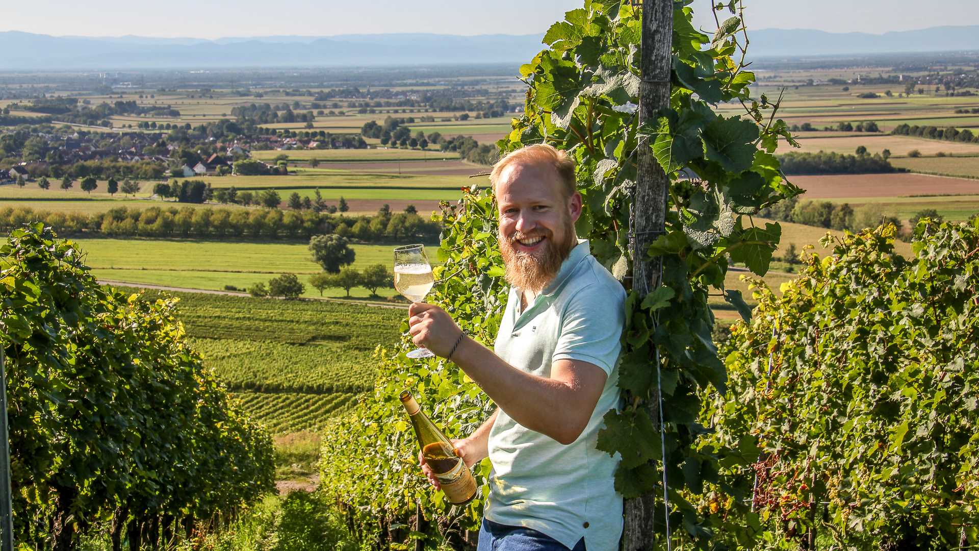 Weingut Köpfer