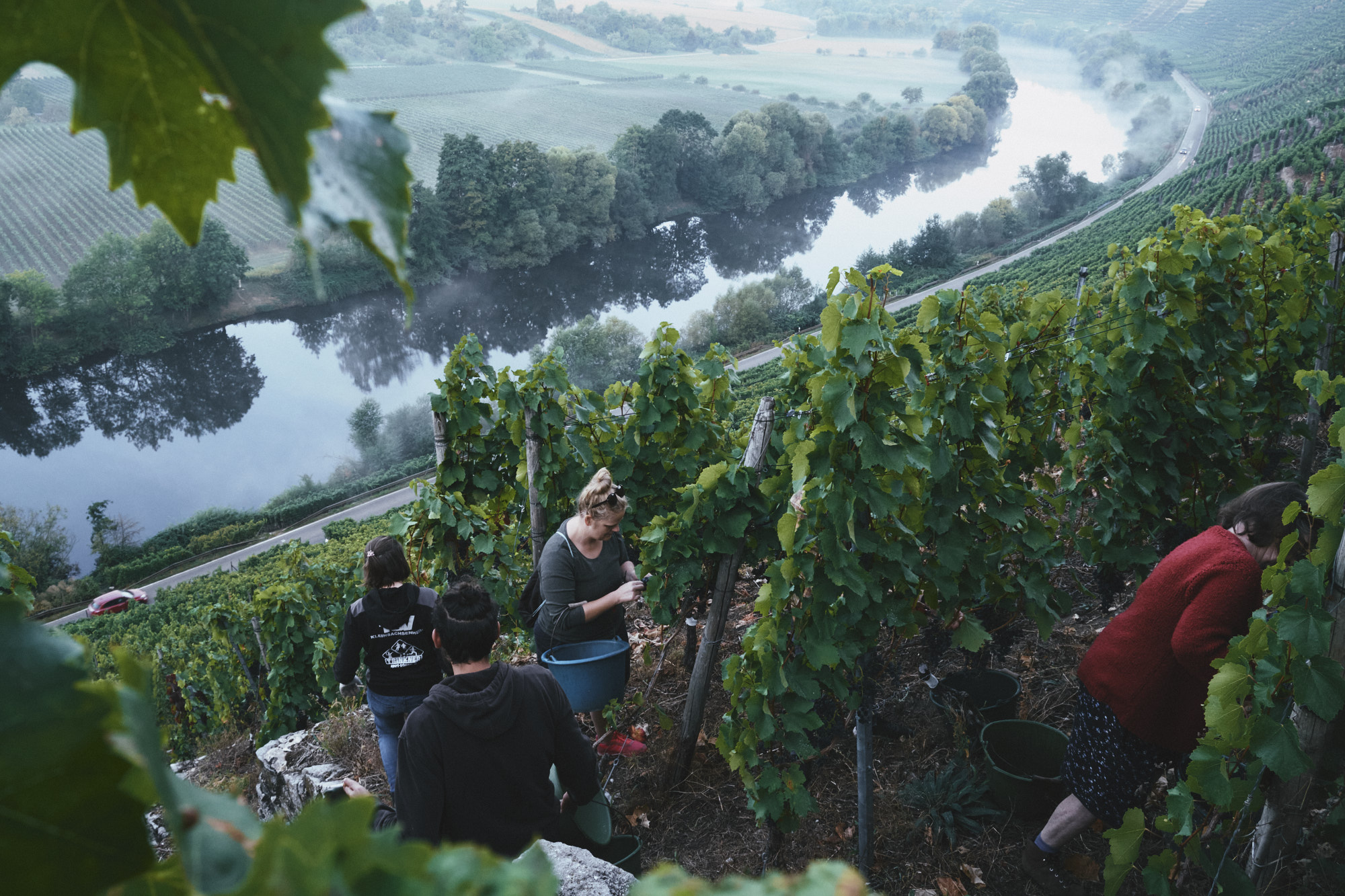 2020 er Roter Siggi (0,75 l)