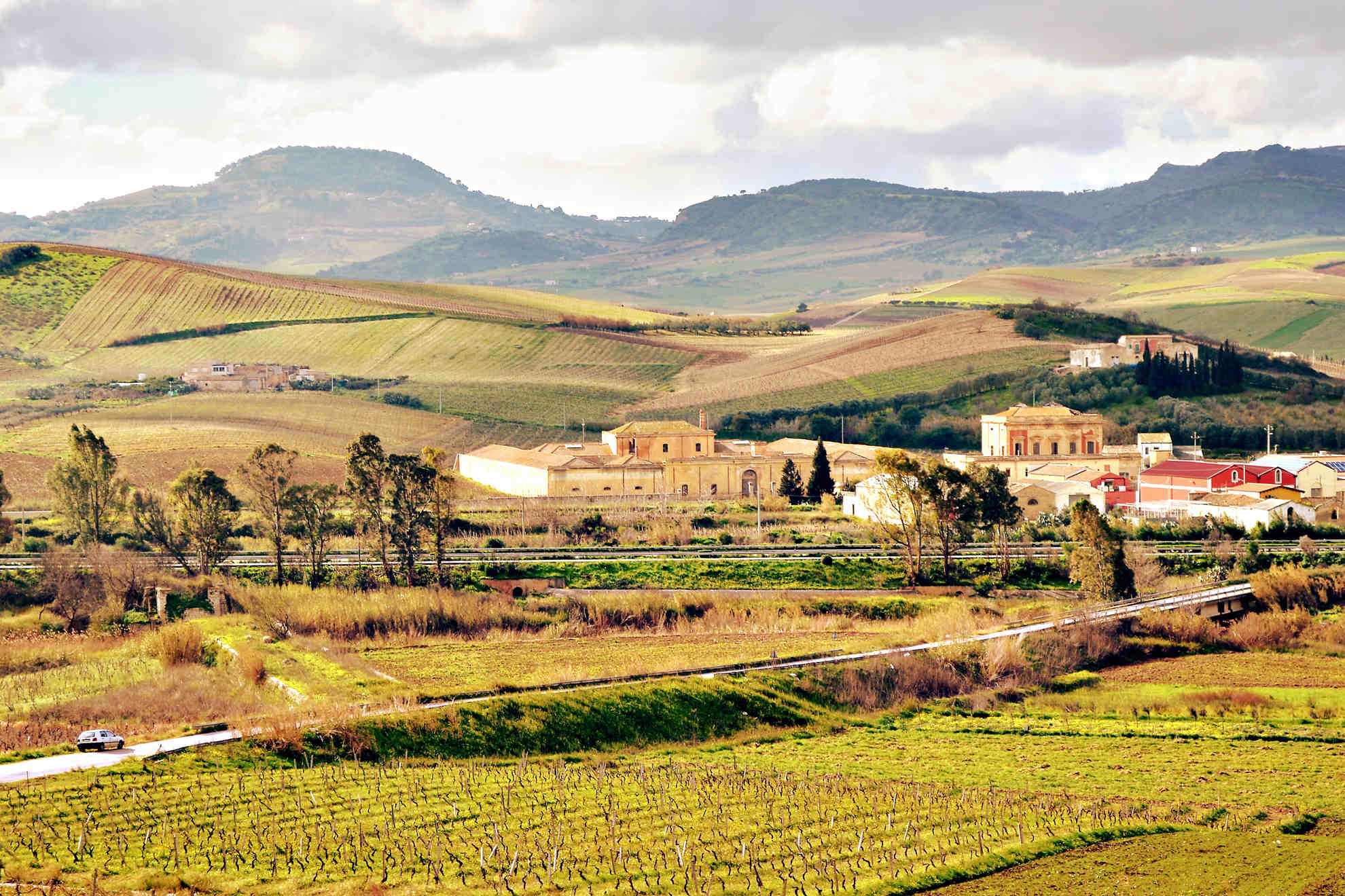 Azienda Agricola Adamo