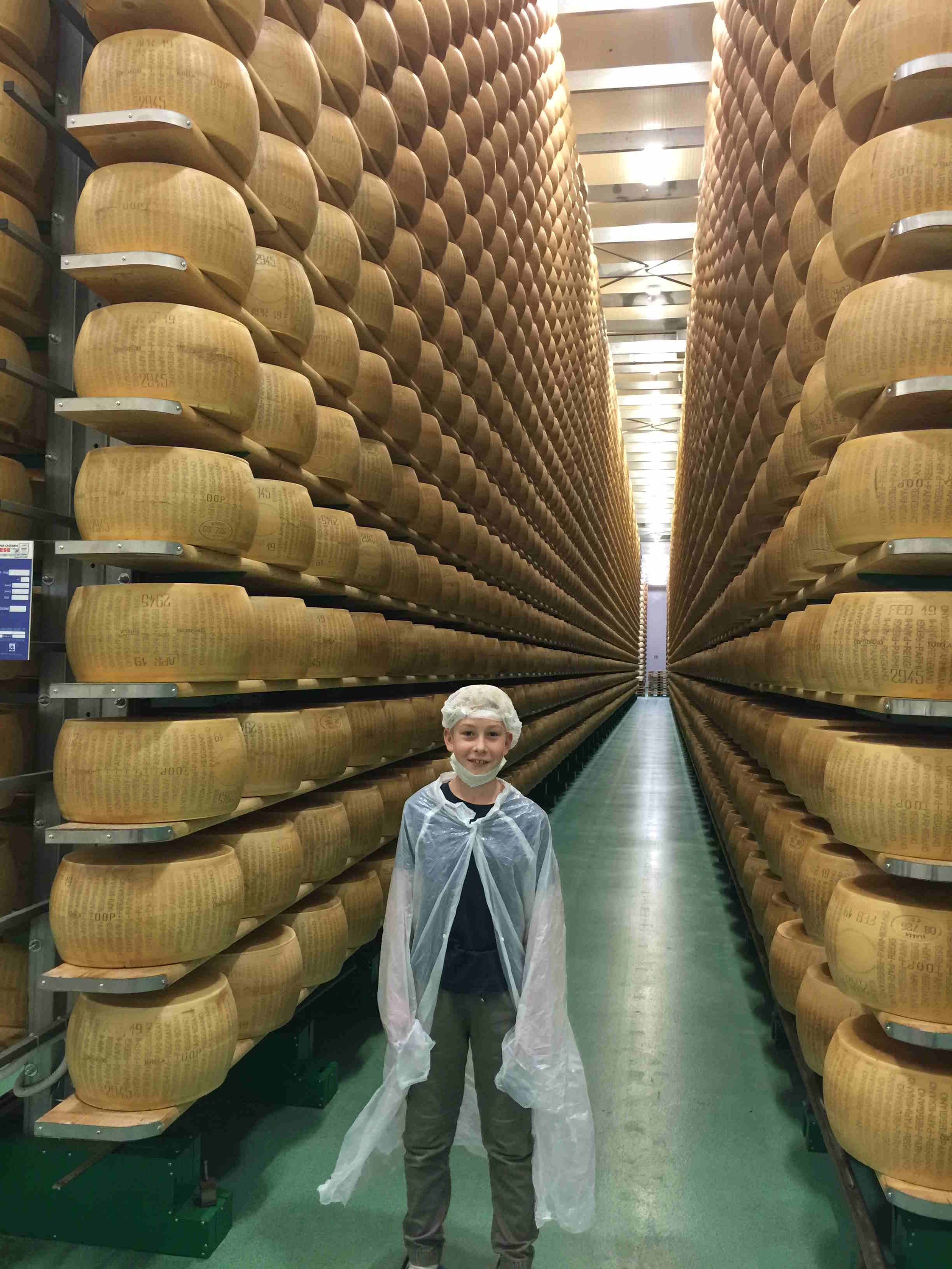 Parmigiano Reggiaano DOP Biologico (30 Monate gereift)